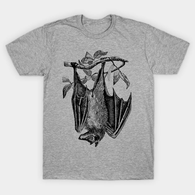 Bat T-Shirt by OHH Baby